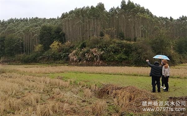 株洲市陈老师带着爱徒寻龙点穴