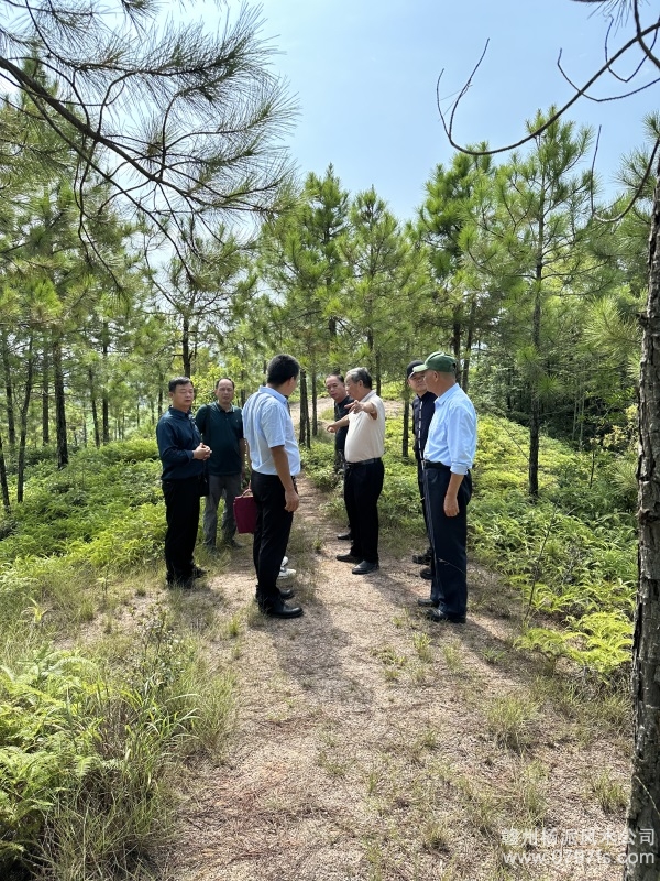 株洲市学杨公风水跟陈荣昌老师实在